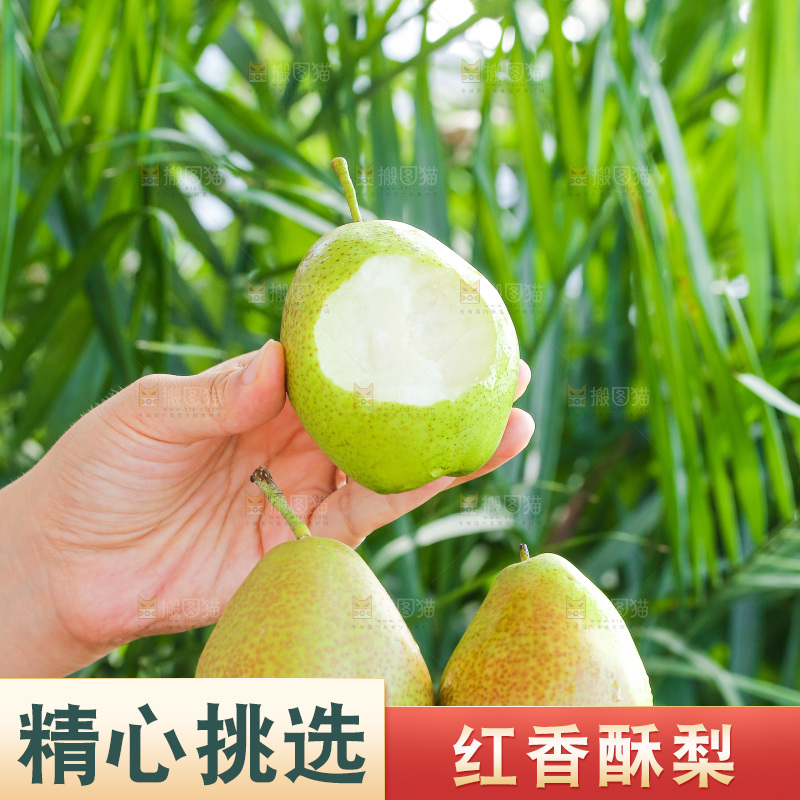 手里拿着红香酥梨
