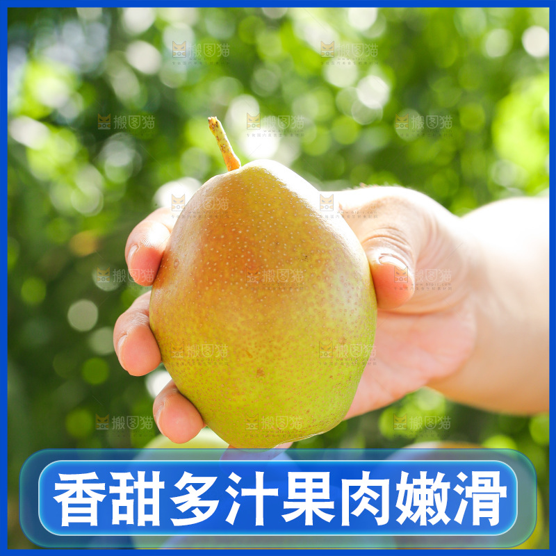 手里拿着红香酥梨