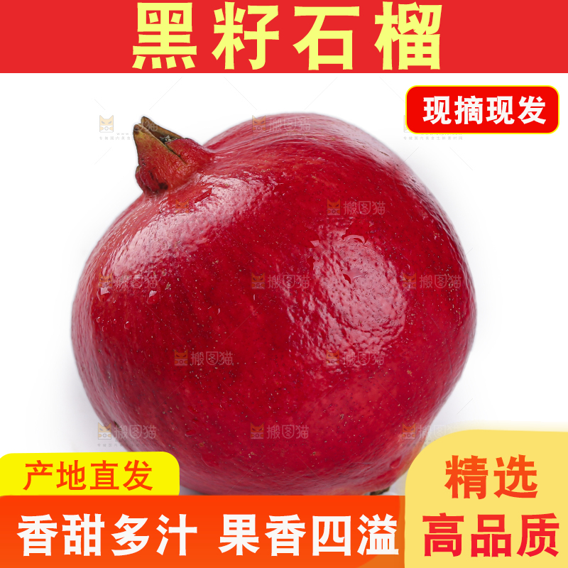 白底上的黑籽石榴