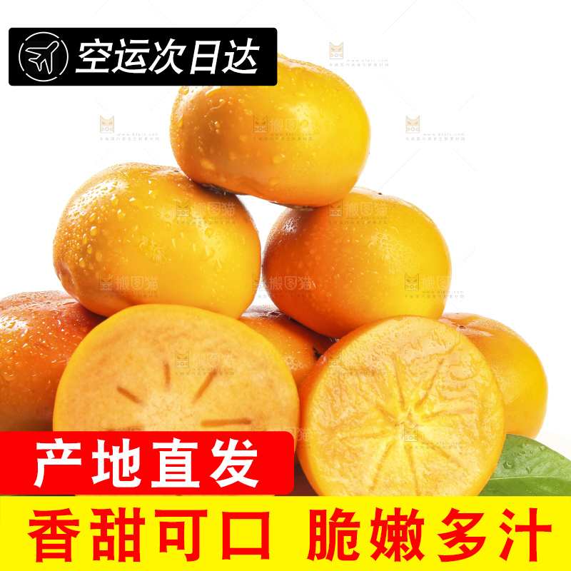 白底上的脆柿