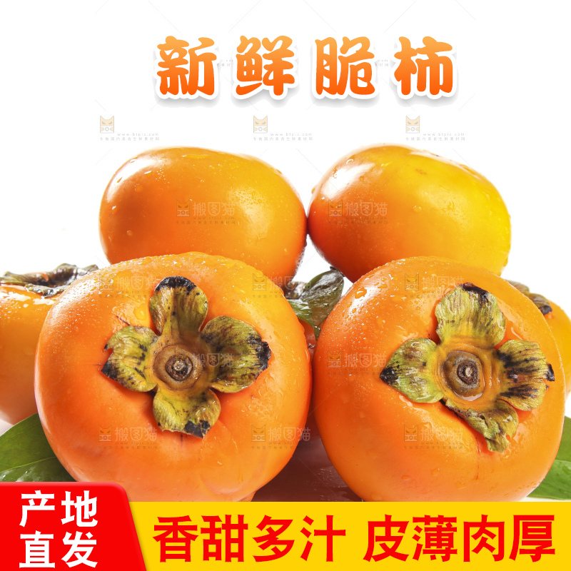 白底上的脆柿
