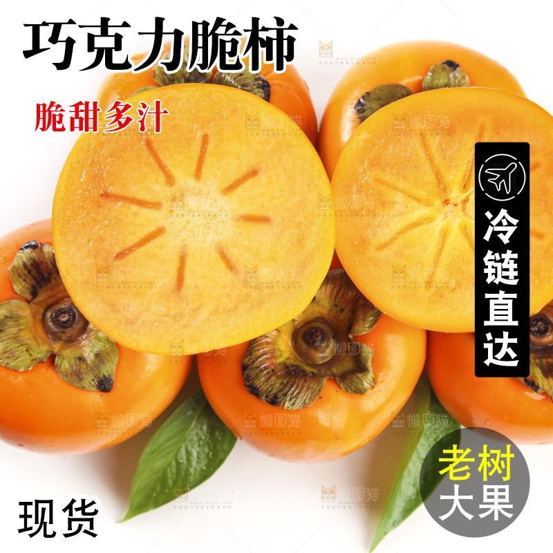 白底上的脆柿