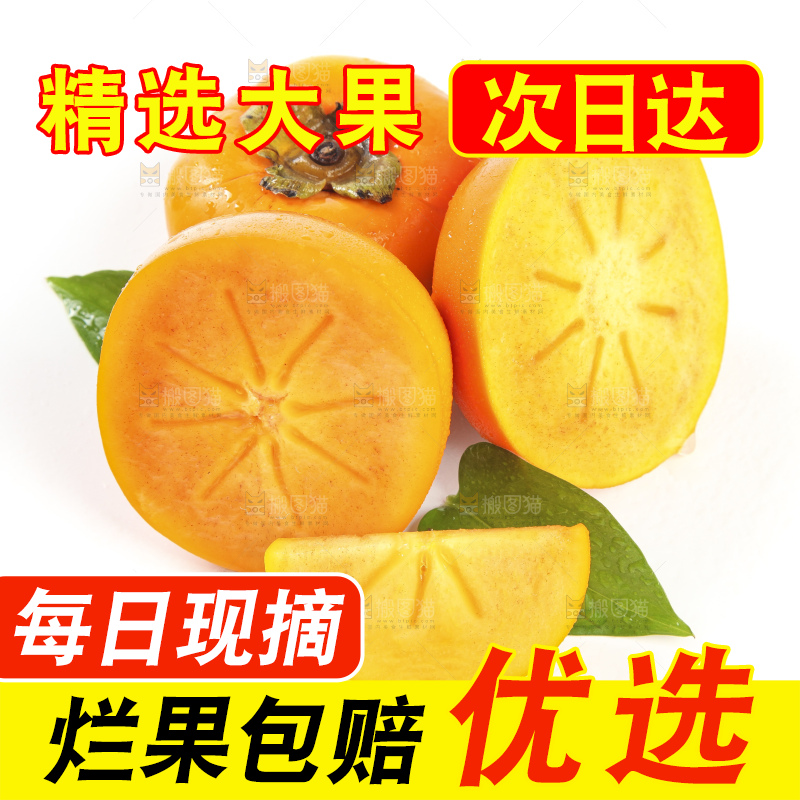 白底上的脆柿