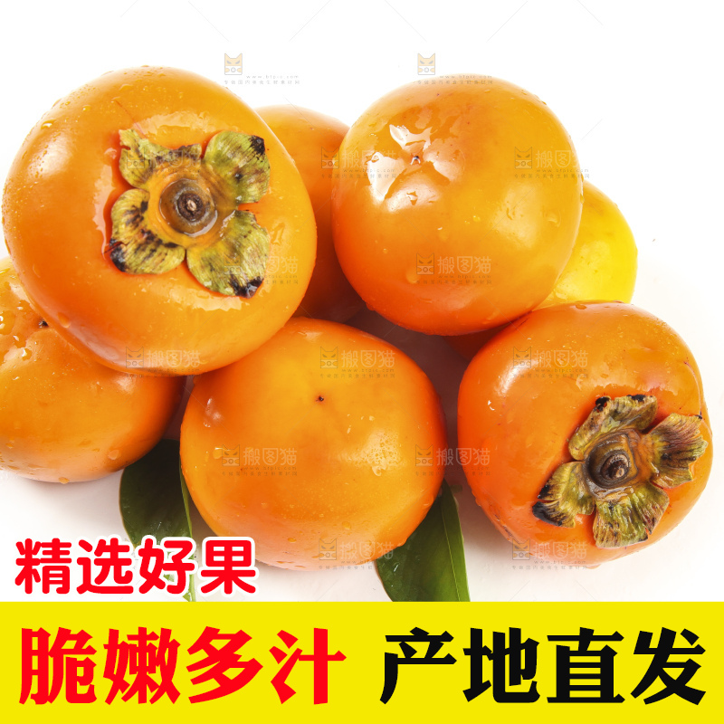 白底上的脆柿