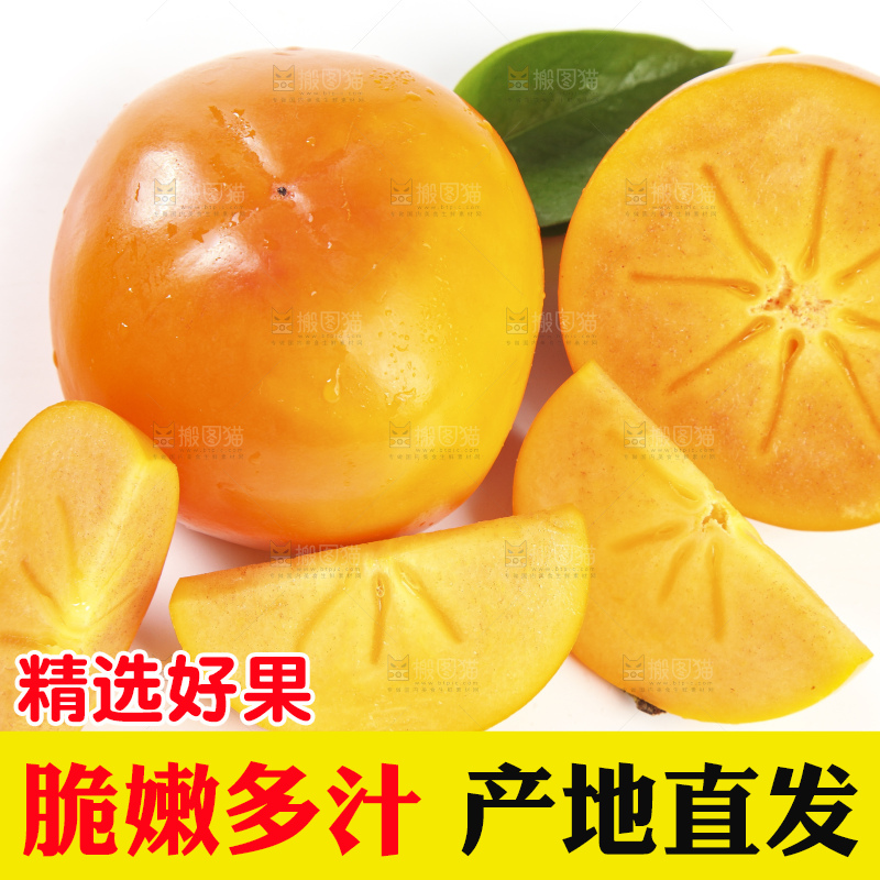 白底上的脆柿