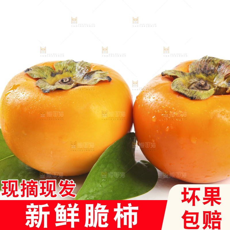 白底上的脆柿