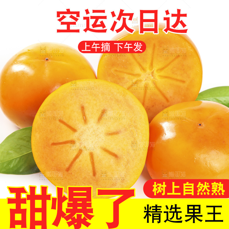 白底上的脆柿