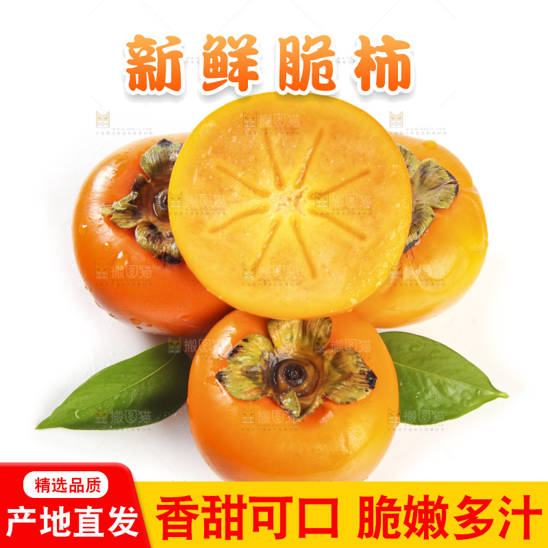 白底上的脆柿