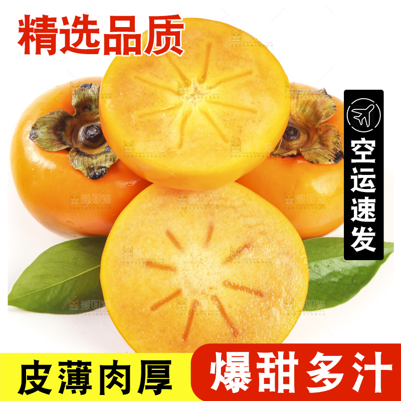 白底上的脆柿
