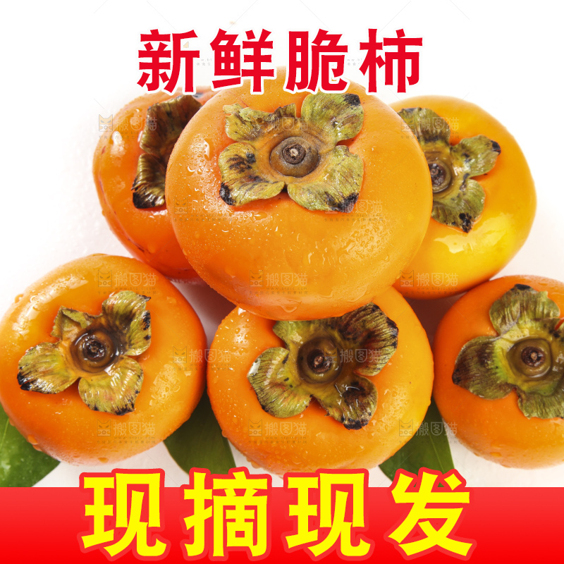 白底上的脆柿