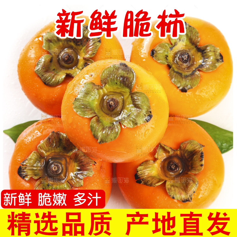 白底上的脆柿