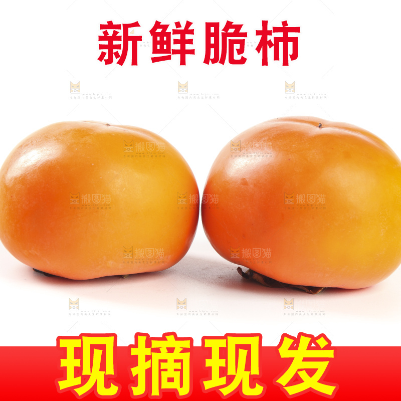 白底上的脆柿