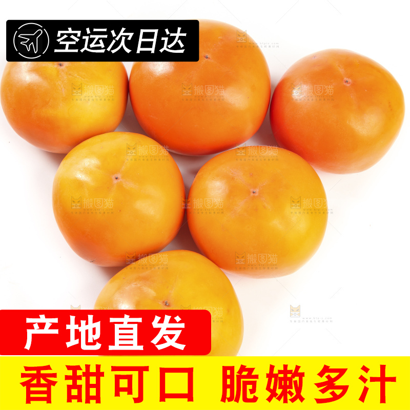 白底上的脆柿