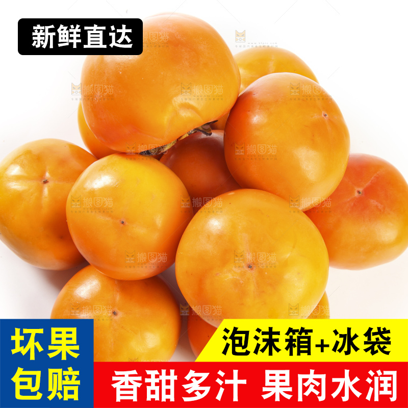 白底上的脆柿