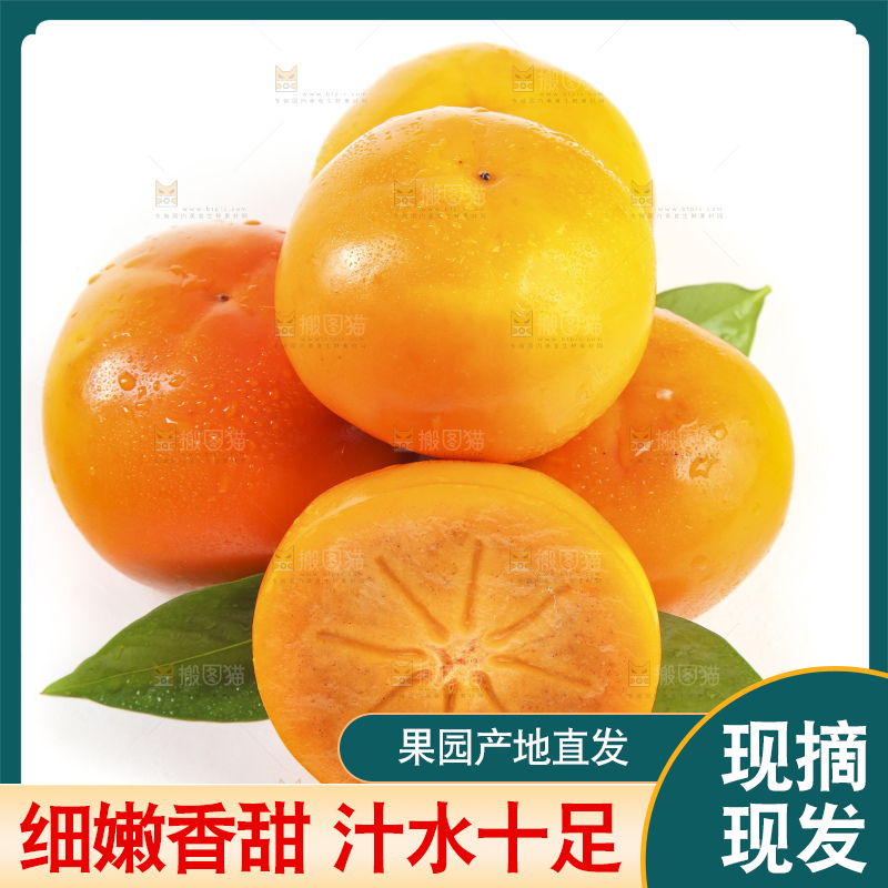 白底上的脆柿