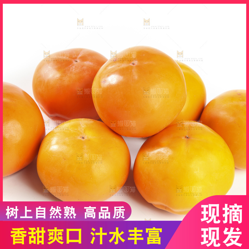 白底上的脆柿