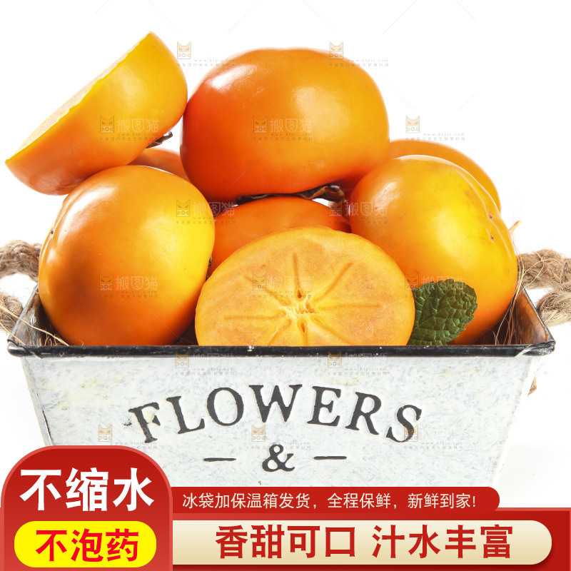 白底上的脆柿