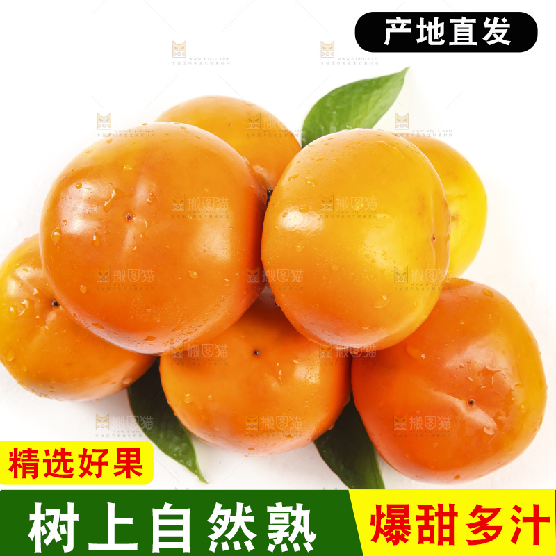 白底上的脆柿