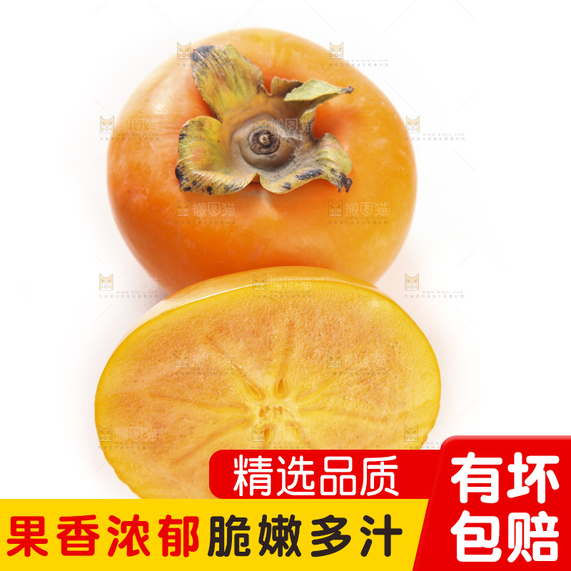 白底上的脆柿