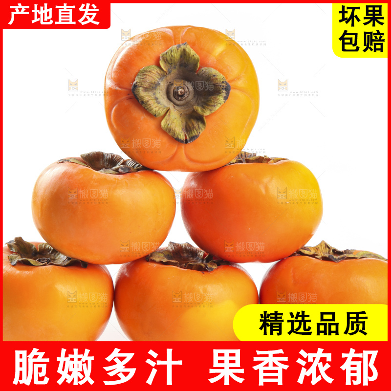 白底上的脆柿