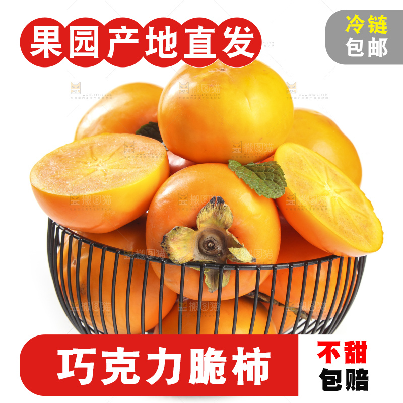 白底上的脆柿