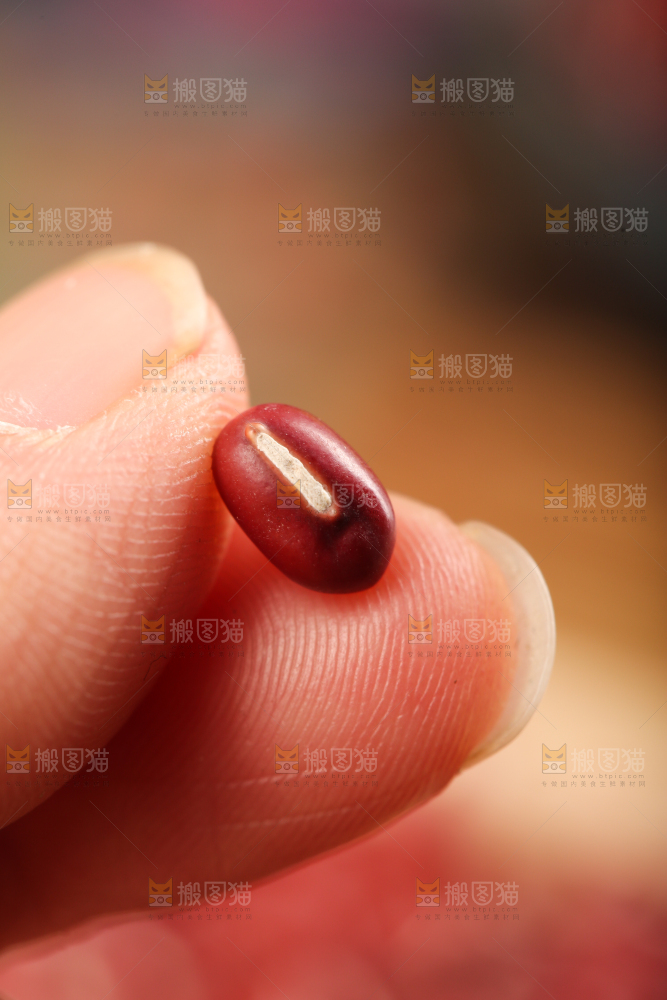 深底上的红豆