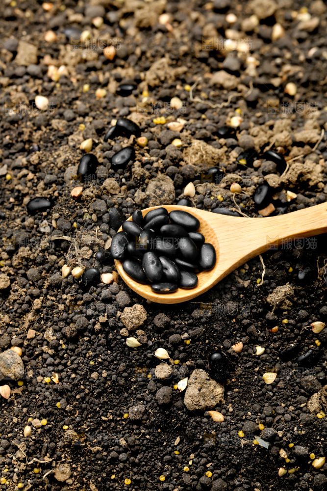 深底上的黄心黑豆