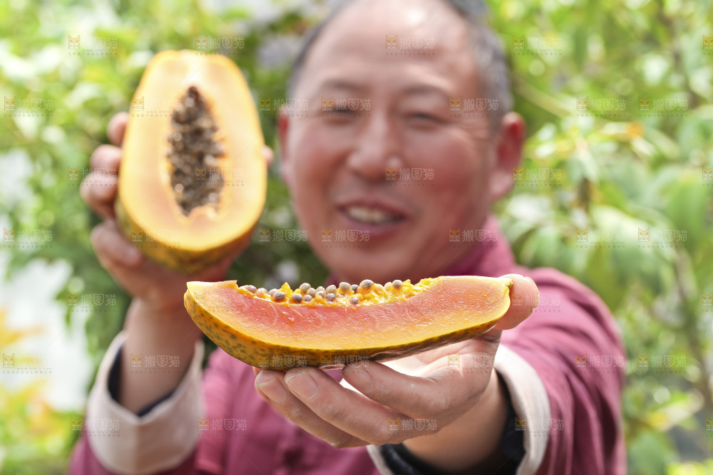 手里拿着红心木瓜