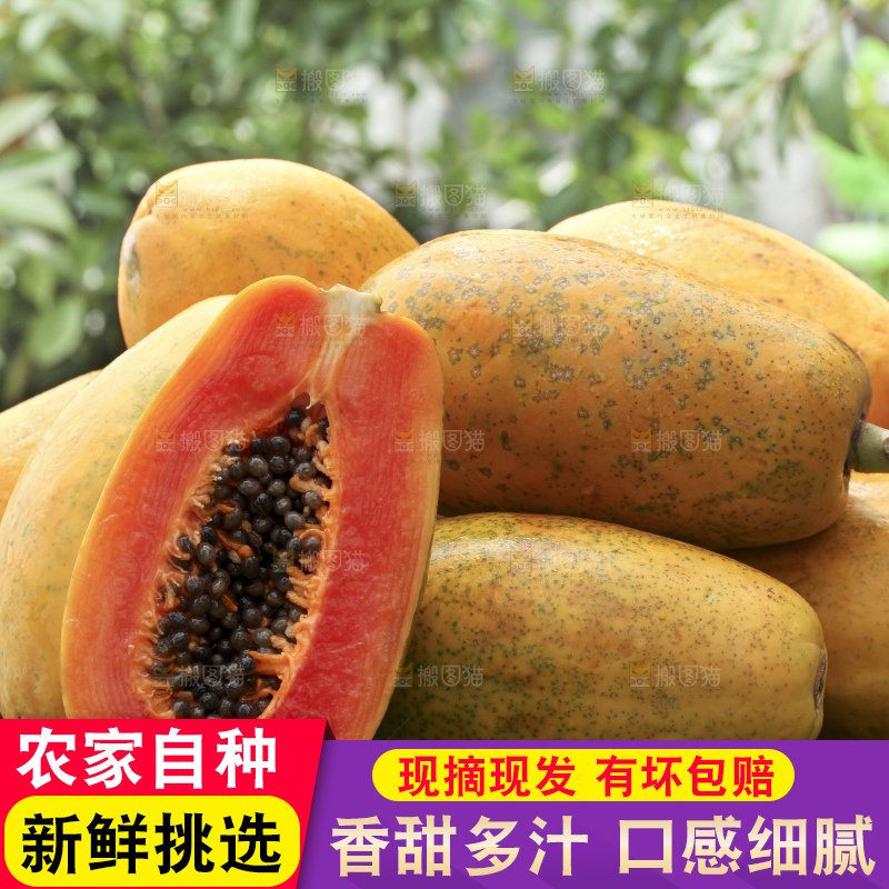 草地上的红心木瓜