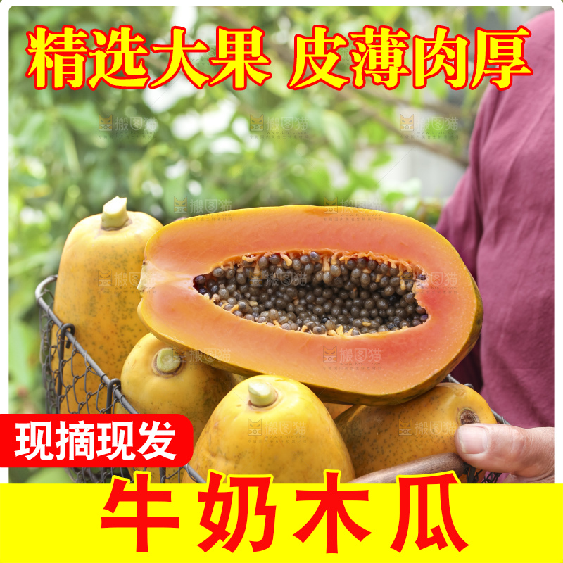草地上的红心木瓜