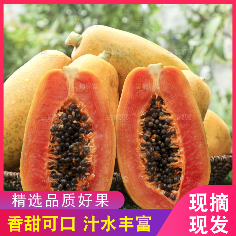 草地上的红心木瓜