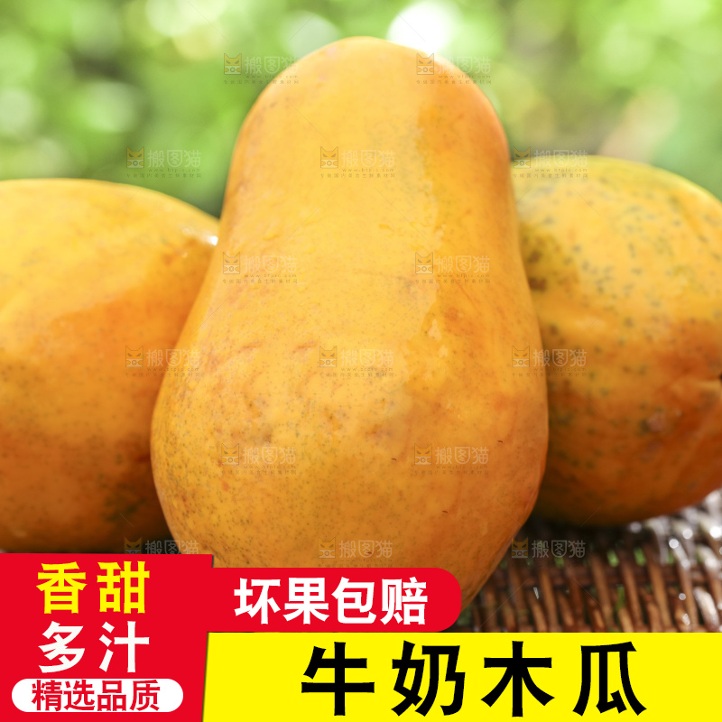 草地上的红心木瓜
