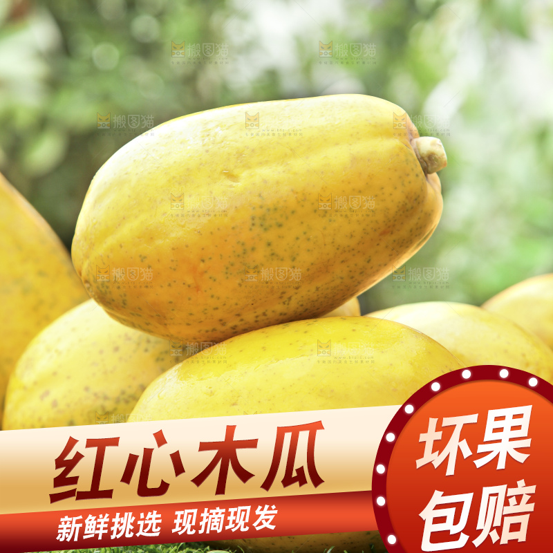 草地上的红心木瓜