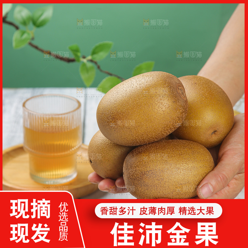 浅底上的佳沛金果