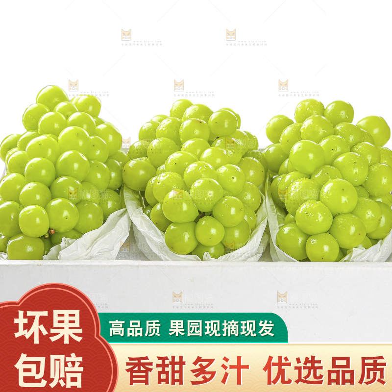 白底礼盒里的阳光玫瑰