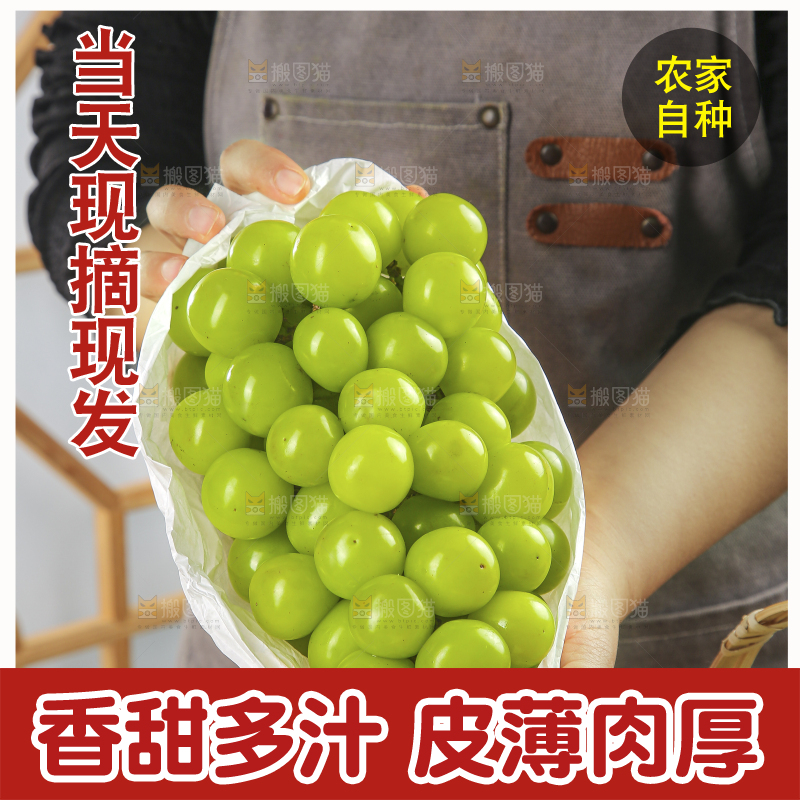 礼盒里的阳光玫瑰