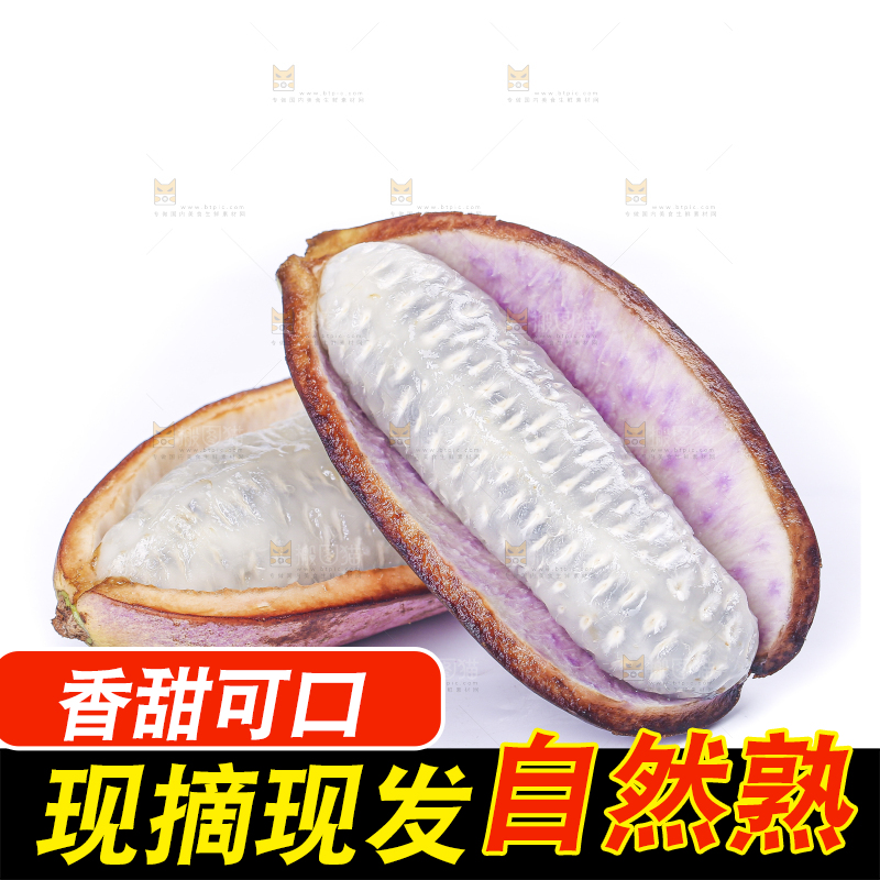 白底上的八月炸