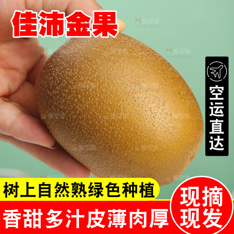 浅底上的佳沛金果