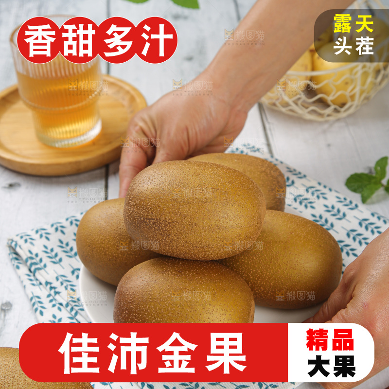 浅底上的佳沛金果
