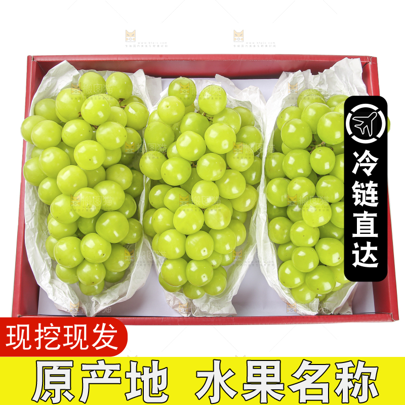 白底礼盒里的阳光玫瑰