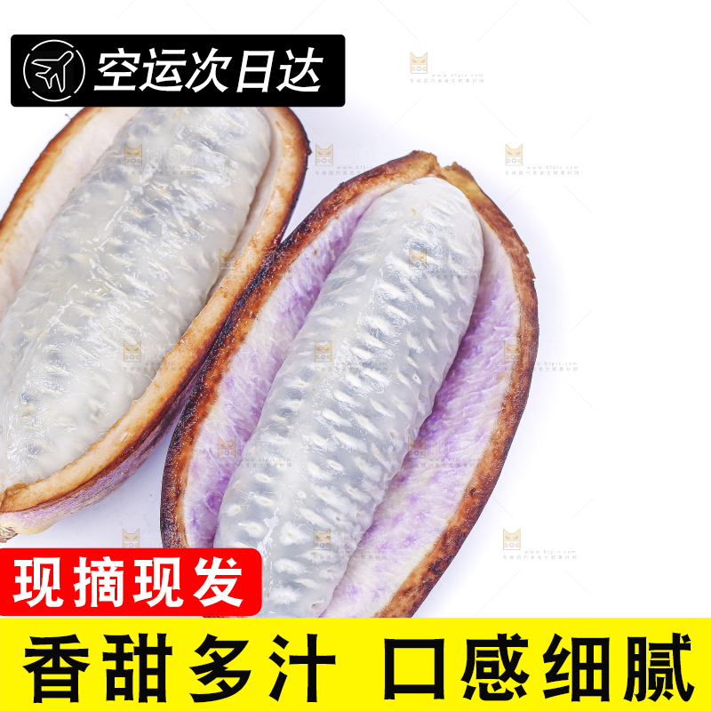 白底上的八月炸