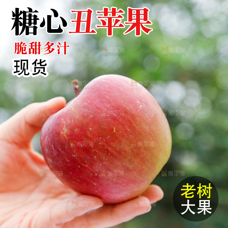 手里拿着丑苹果