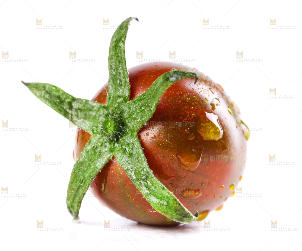 白底上的迷彩小番茄
