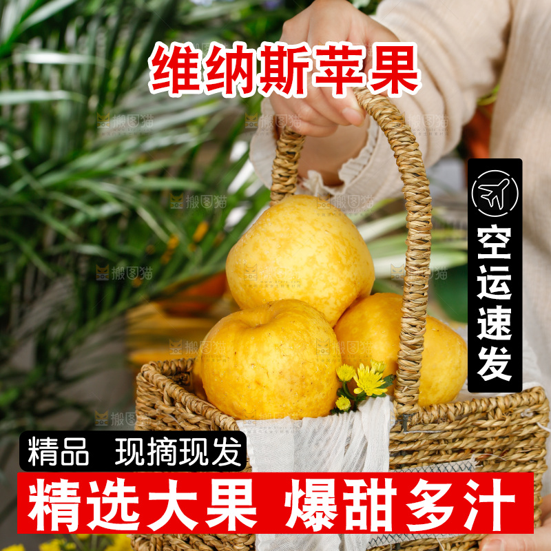 深底上的维纳斯苹果