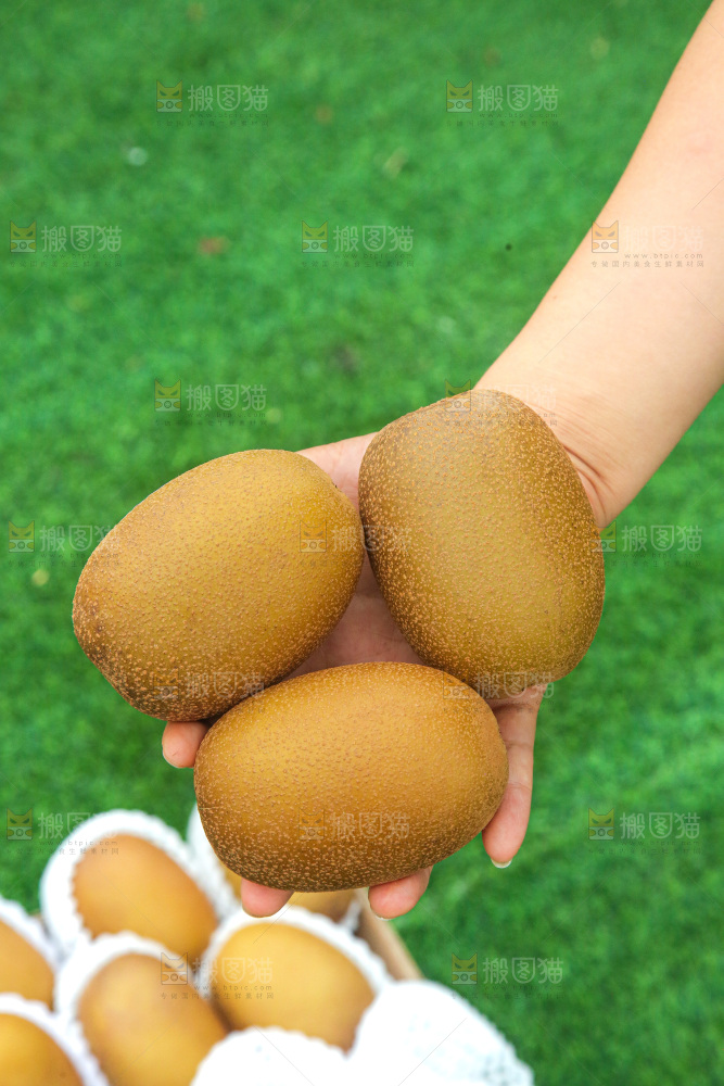 手里拿着佳沛奇异果