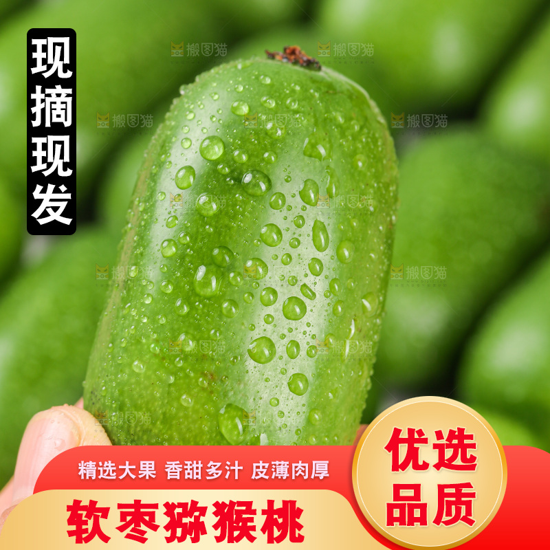 浅底上的软枣猕猴桃