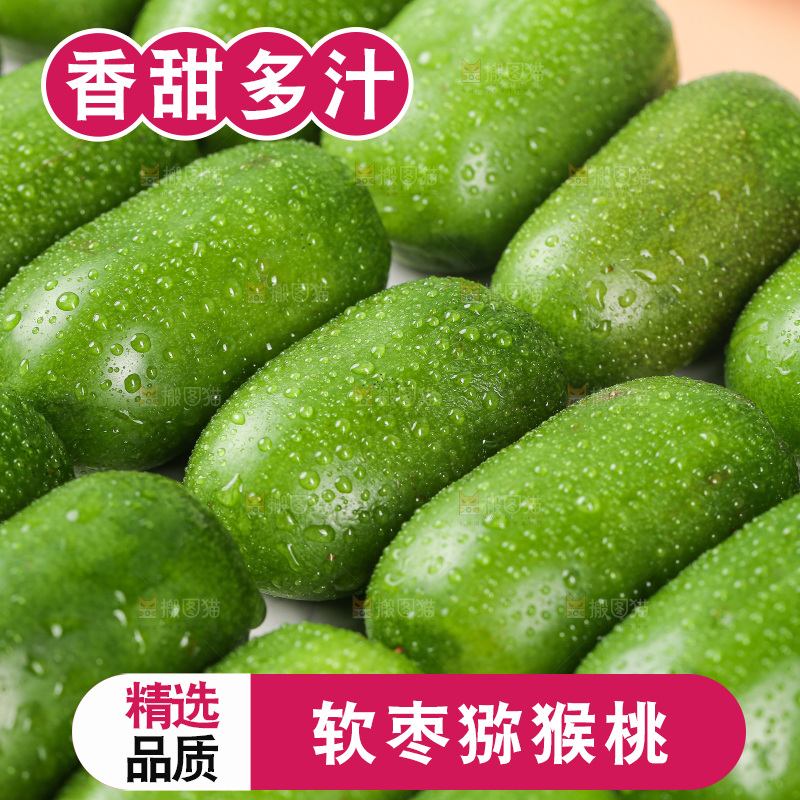 浅底上的软枣猕猴桃