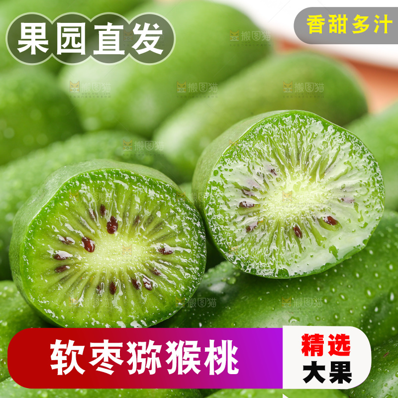 浅底上的软枣猕猴桃