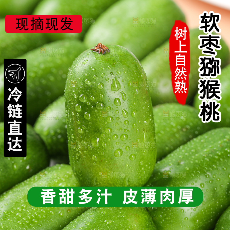 浅底上的软枣猕猴桃
