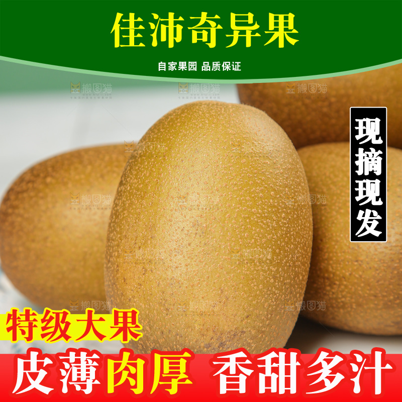 浅底上的佳沛奇异果